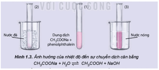 thi-nghiem-2-trang-11-hoa-hoc-11-1.png