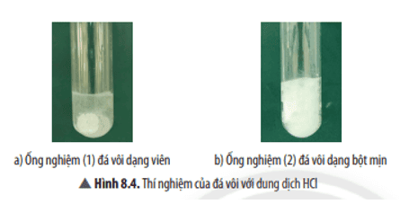 cau-hoi-thao-luan-7-trang-41-khtn-8-ket-noi.png