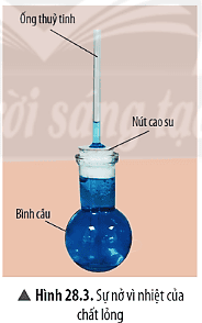 cau-hoi-thao-luan-trang-129-khtn-8-chan-troi-2-176148.png