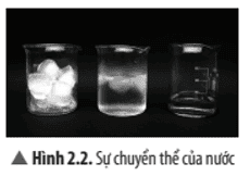 cau-hoi-thao-luan-2-trang-16-khtn-8-ket-noi.png