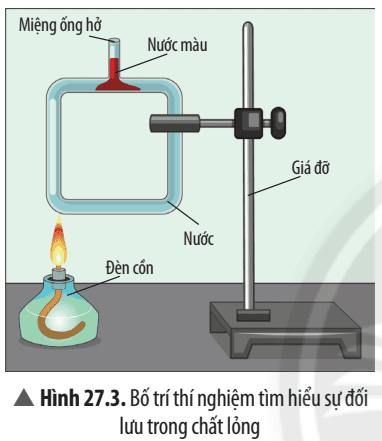 cau-hoi-thao-luan-trang-125-khtn-8-chan-troi-176141.png