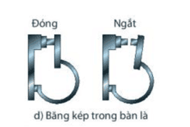 cau-hoi-7-trang-121-khtn-8-ket-noi-1.png