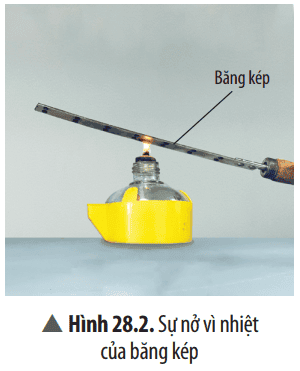 cau-hoi-thao-luan-trang-129-khtn-8-chan-troi-1-176147.png