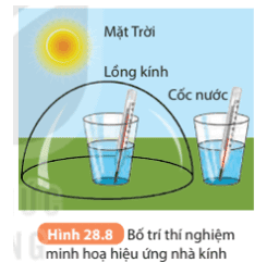 cau-hoi-7-trang-116-khtn-8-ket-noi.png