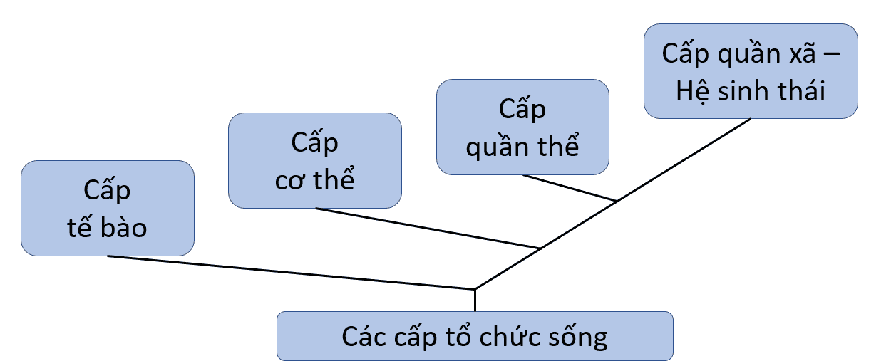 image26.png