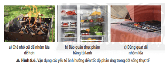 cau-hoi-thao-luan-11-trang-42-khtn-8-ket-noi.png