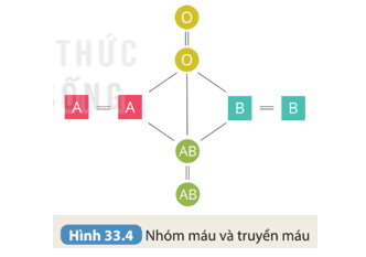 hoat-dong-1-trang-137-khtn-8-ket-noi.png