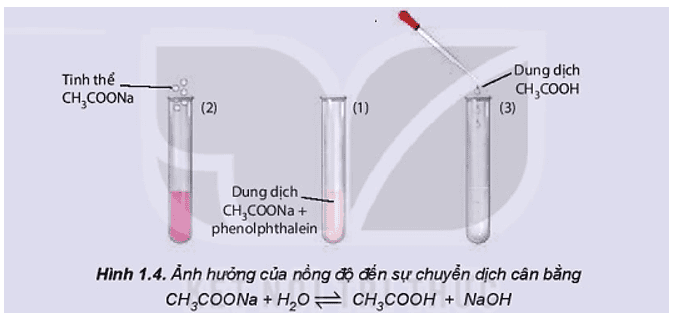 hoat-dong-trang-12-hoa-hoc-11.png