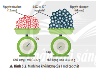 cau-hoi-thao-luan-2-trang-28-khtn-8-ket-noi.png