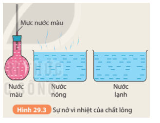 hoat-dong-3-trang-119-khtn-8-ket-noi.png