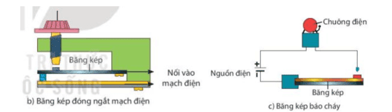 cau-hoi-7-trang-121-khtn-8-ket-noi.png